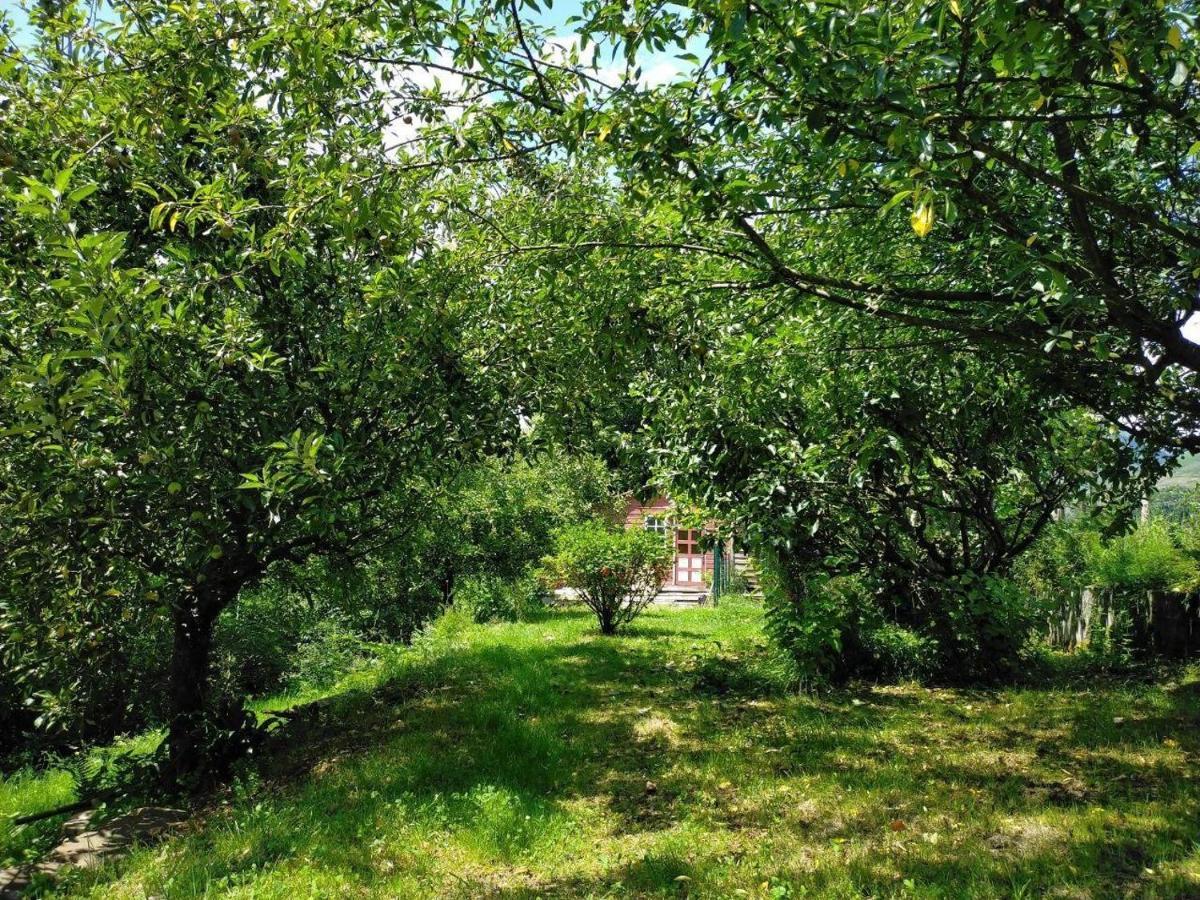 Eyhera Perkain Aldudes Buitenkant foto