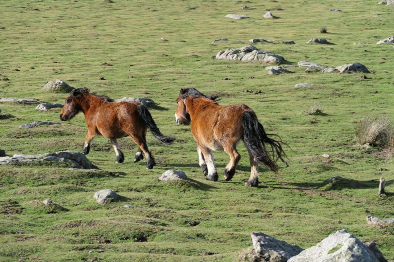 Eyhera Perkain Aldudes Buitenkant foto