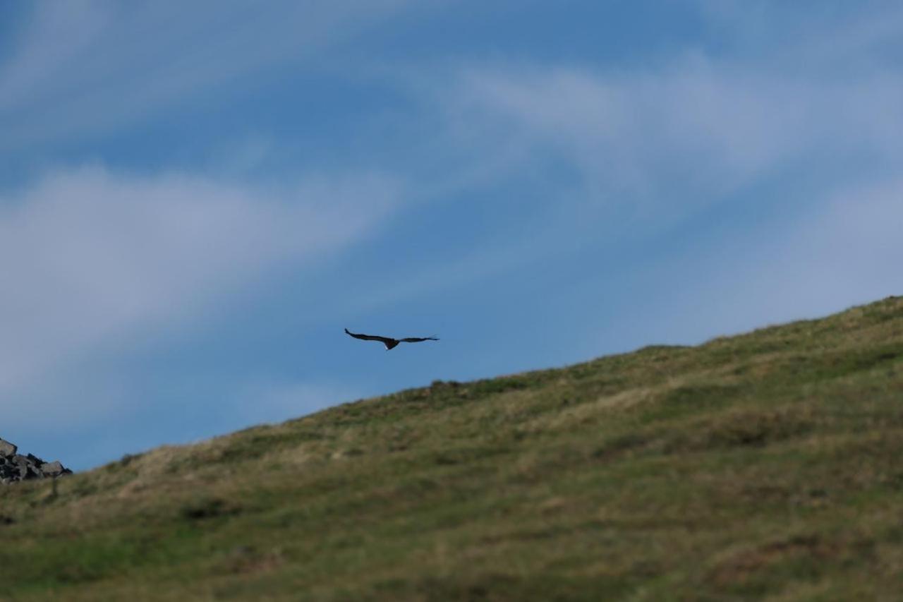 Eyhera Perkain Aldudes Buitenkant foto
