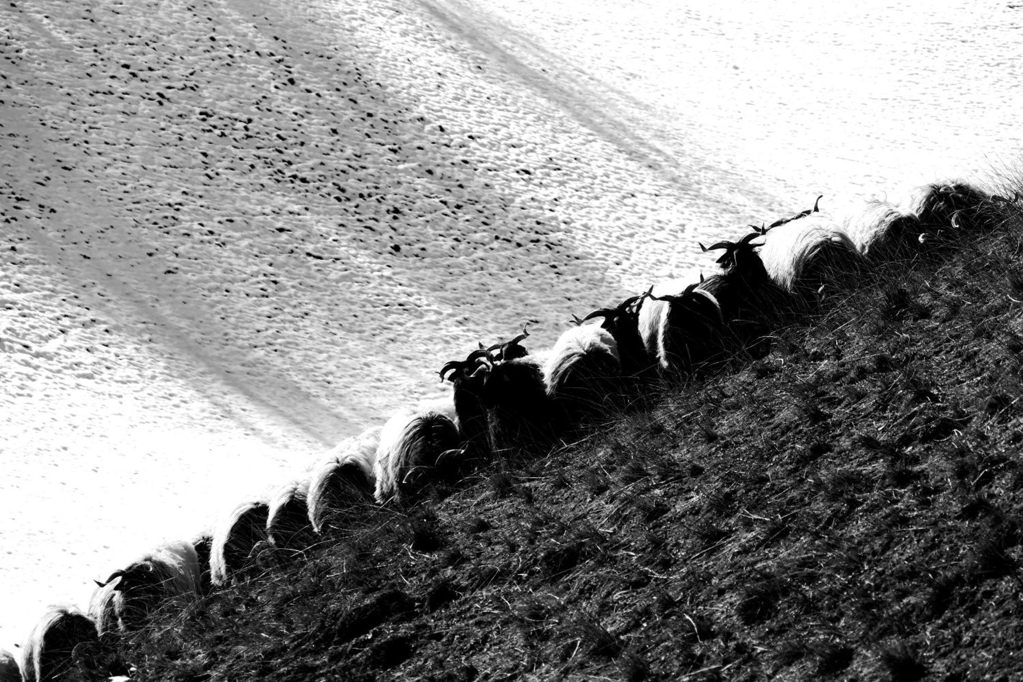 Eyhera Perkain Aldudes Buitenkant foto